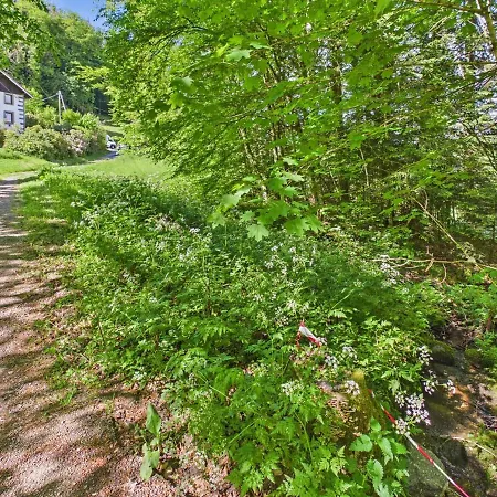 La Ferme Du Pre Toussaint, 9 Guest Garden Vosges 科尔尼蒙
