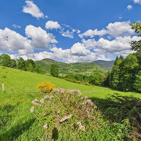 Feriehus La Ferme Du Pre Toussaint, 9 Guest Garden Vosges *